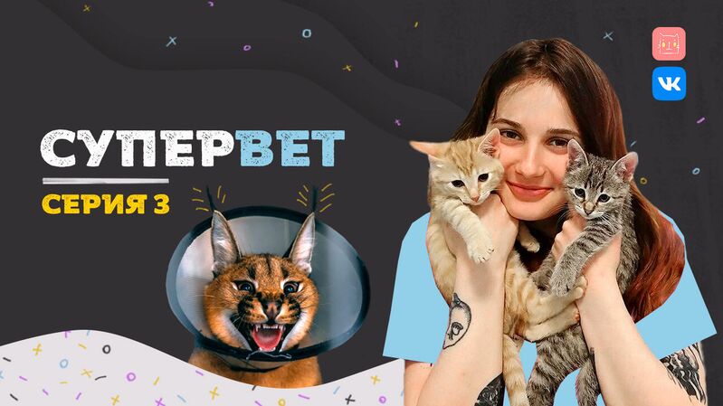 Супервет 3 Супервет 3 - «Россия сегодня», 800, 22.12.2021